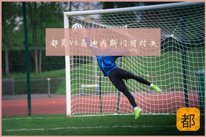 都灵vs乌迪内斯门将对决